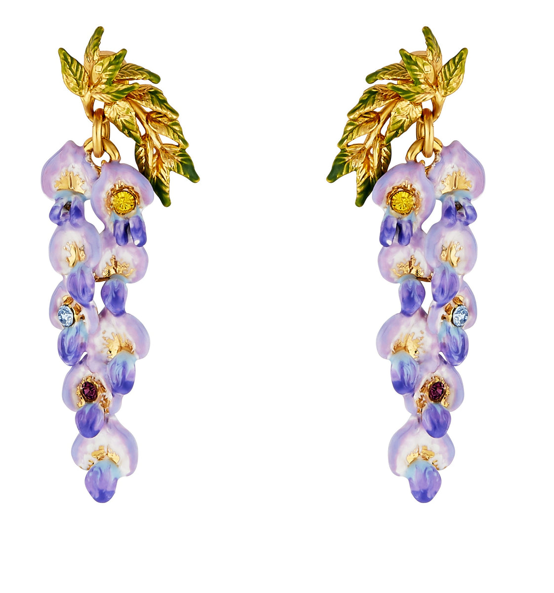WISTERIA  Les Nrides