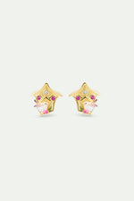Birdhouse Clip-On Earrings, with Snow Bunting and Pink Crystals