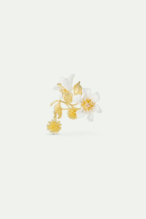 Large Clematis - Laurel Leaf and Japanese Kerria Brooch