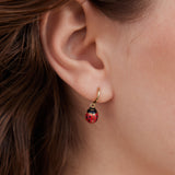 Red and Black Ladybird Hook Earrings