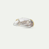 Silver and Gold Mussel Brooch