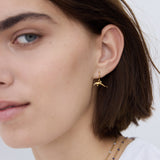 Gold Dolphin Hoop Earrings