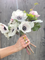 🎁 Les Néréides x Petal Pink Flowers Seeds Gift Pack (100% off)
