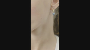 
            
                Load and play video in Gallery viewer, Asymmetrical Seashell and Mother of Pearl Bead Post Earrings
            
        