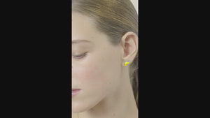 
            
                Load and play video in Gallery viewer, Asymmetrical Blue Fish and Yellow Fish Post Earrings
            
        