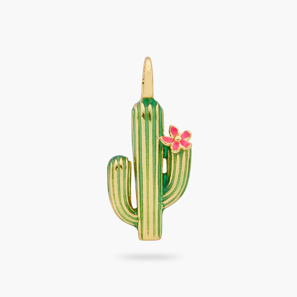 Cactus Charm