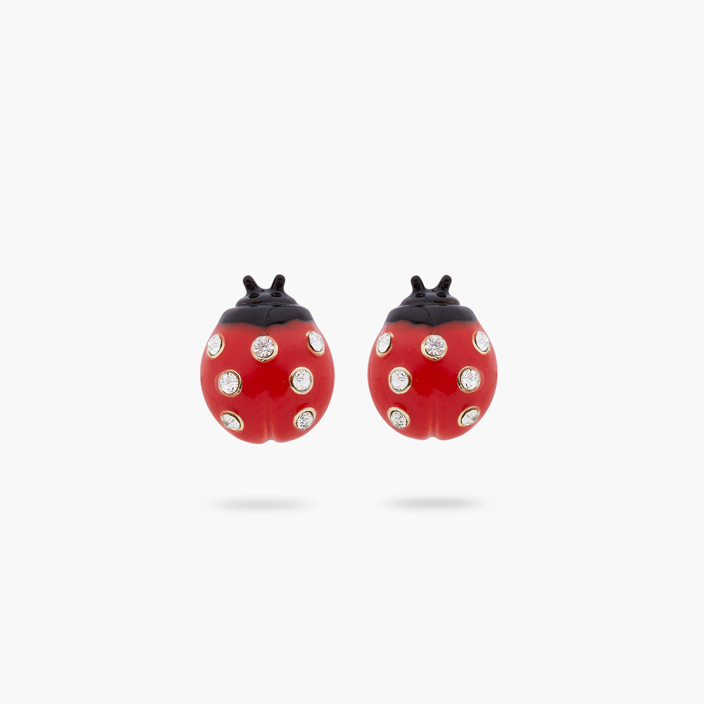 Ladybird Post Earrings