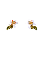 Gardens In Provence Orange Blossom Clip On Earrings