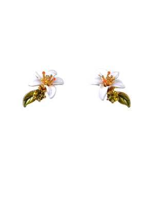
            
                Load image into Gallery viewer, Gardens In Provence Orange Blossom Clip On Earrings
            
        