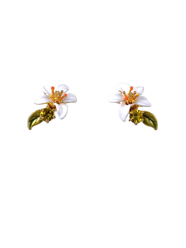 
            
                Load image into Gallery viewer, Gardens In Provence Orange Blossom Earrings
            
        