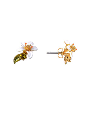 
            
                Load image into Gallery viewer, Gardens In Provence Orange Blossom Earrings
            
        