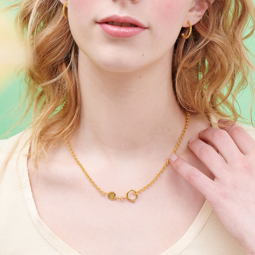 N2 Charms Charm necklace chain
